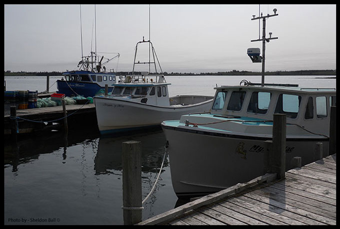 Three lobster fishing boats docked in port outside Halifax, Nova Scotia, Canada - Photo by Web Developer Sheldon Ball